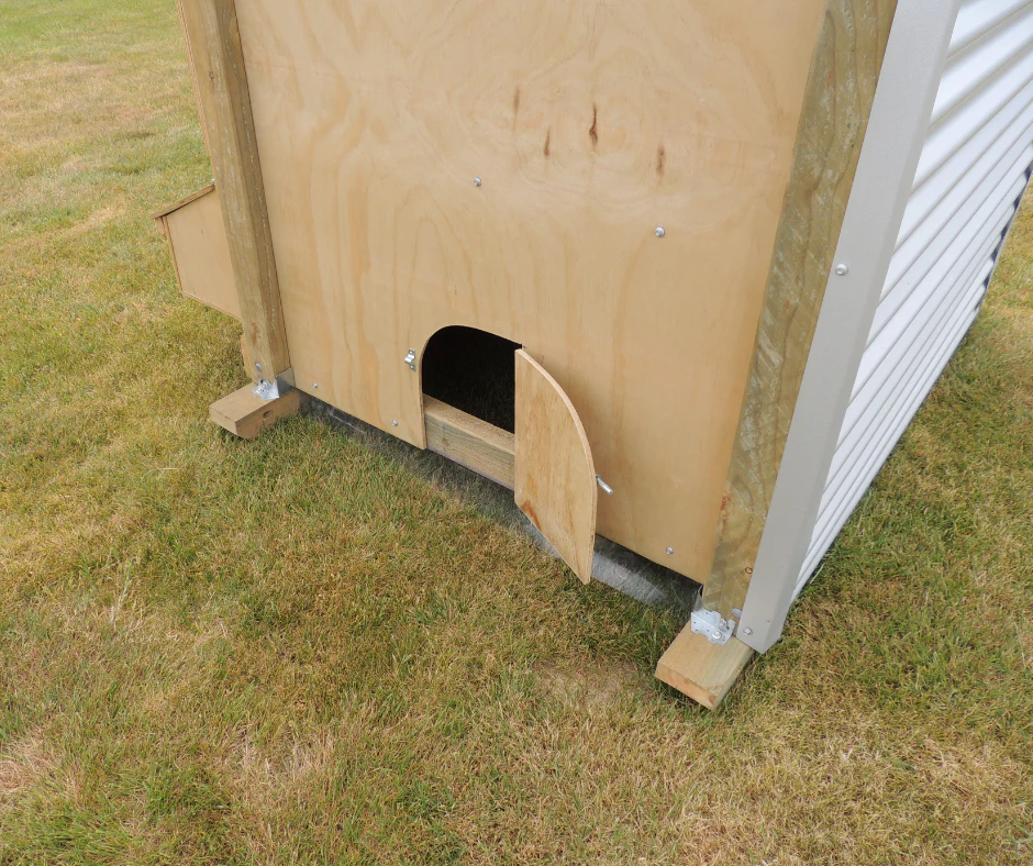 1 Bay Chicken Coop - Image 4