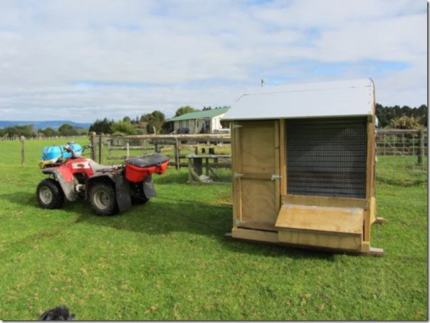 1 Bay Chicken Coop - Image 9