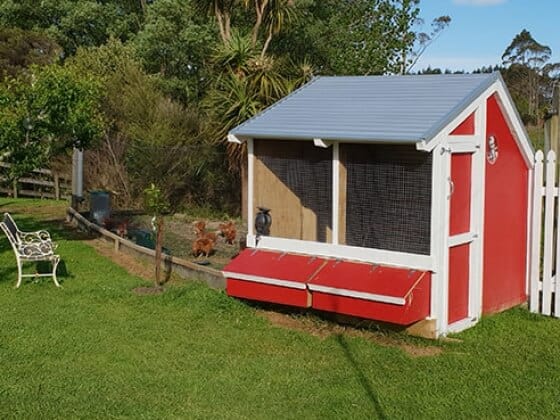 2 Bay Chicken Coop - Image 10