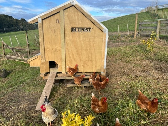 2 Bay Chicken Coop - Image 8