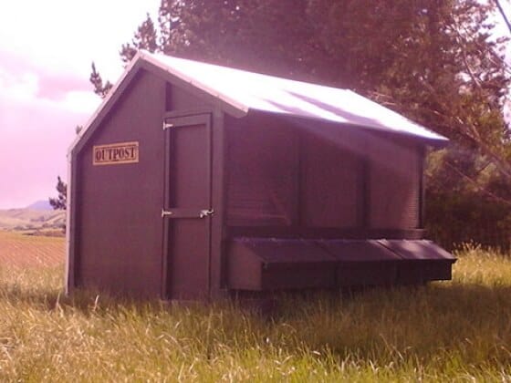 3 Bay Chicken Coop - Image 12