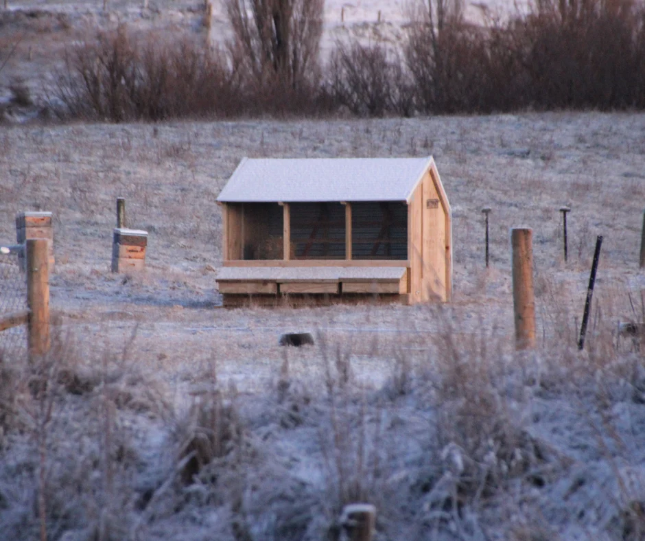 3 Bay Chicken Coop - Image 3