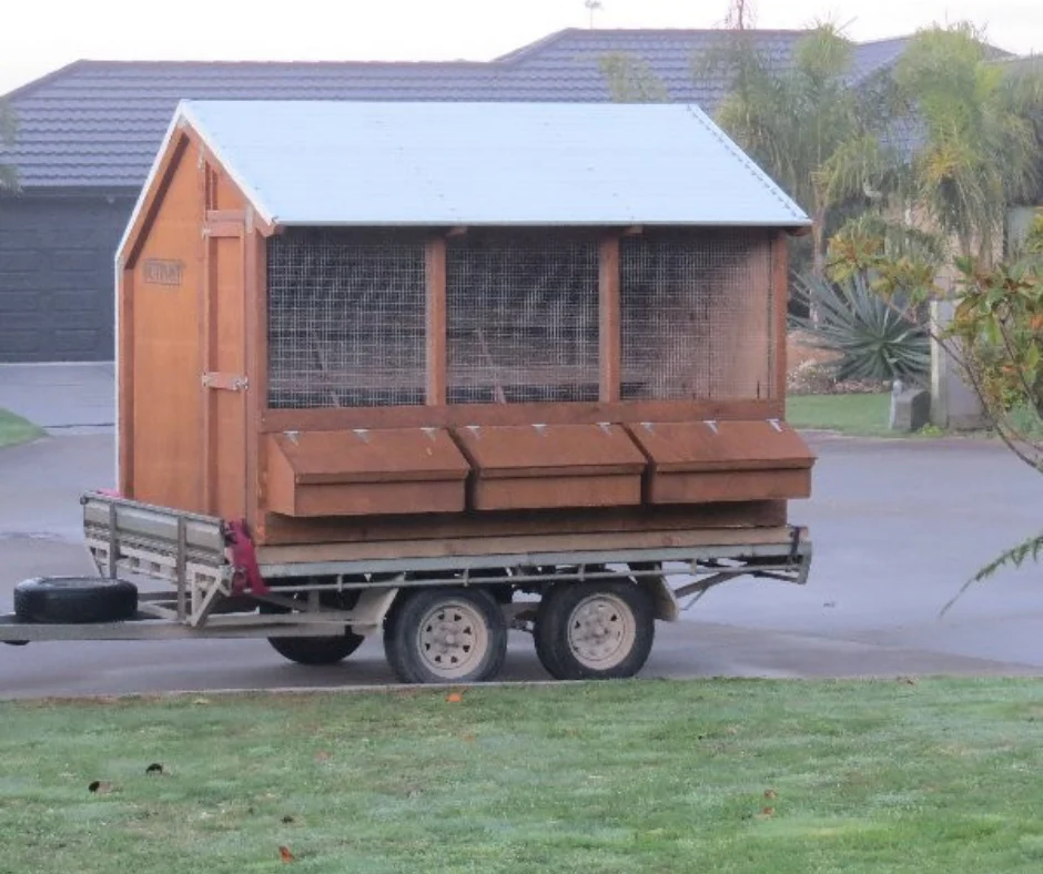 3 Bay Chicken Coop - Image 4