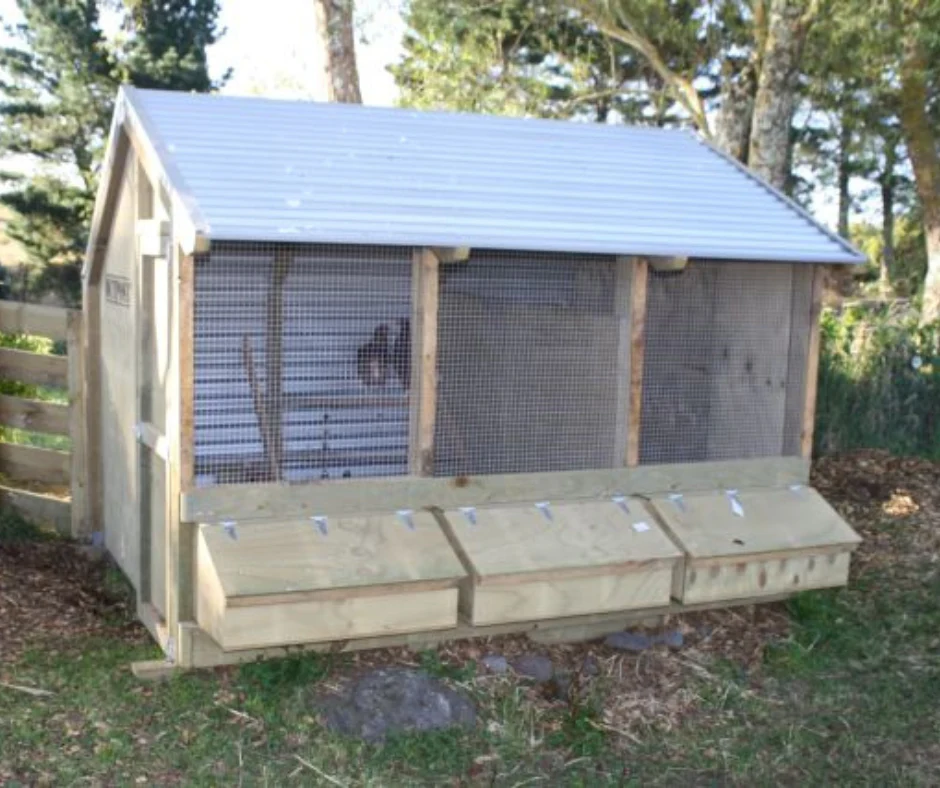 3 Bay Chicken Coop - Image 5