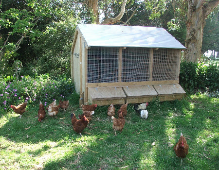 3 Bay Chicken Coop - Image 6