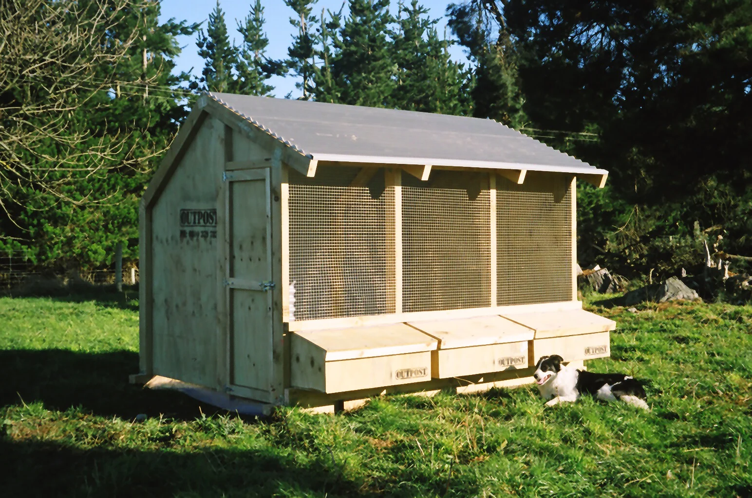 3 Bay Chicken Coop - Image 7