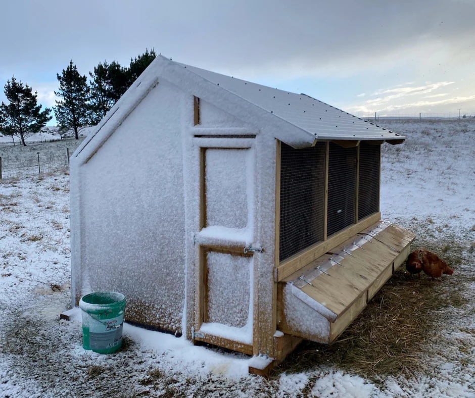 3 Bay Chicken Coop - Image 8