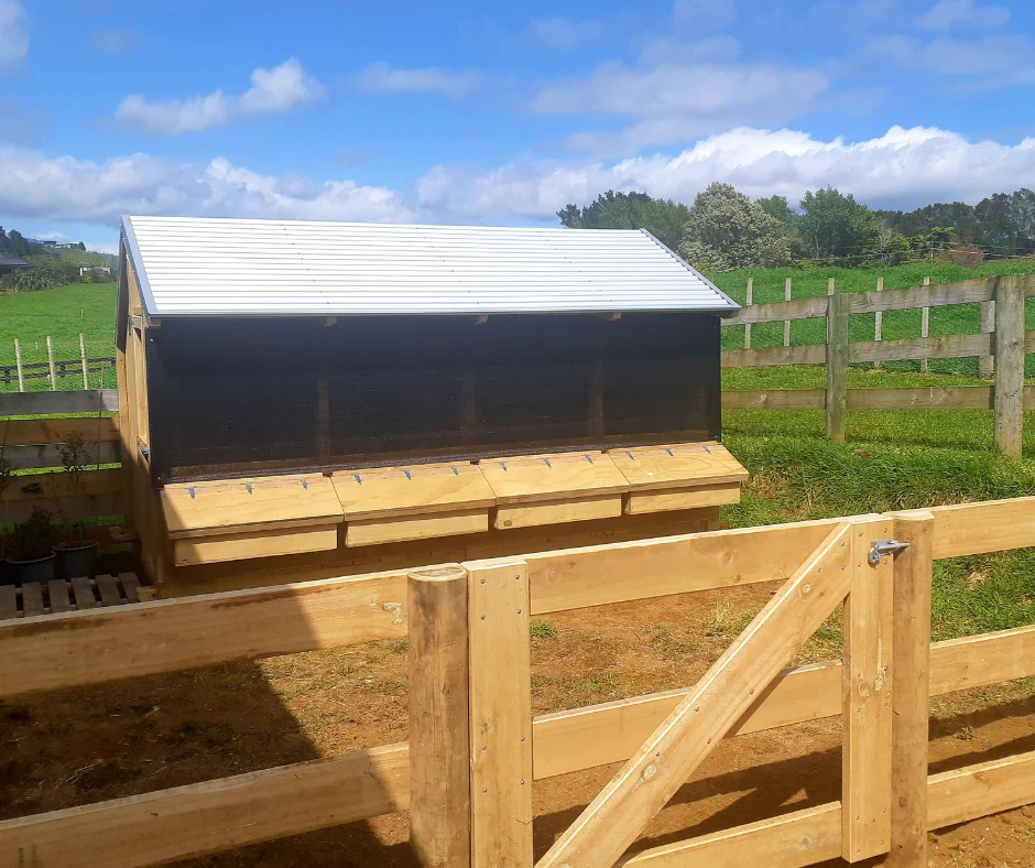 4 Bay Chicken Coop - Image 4