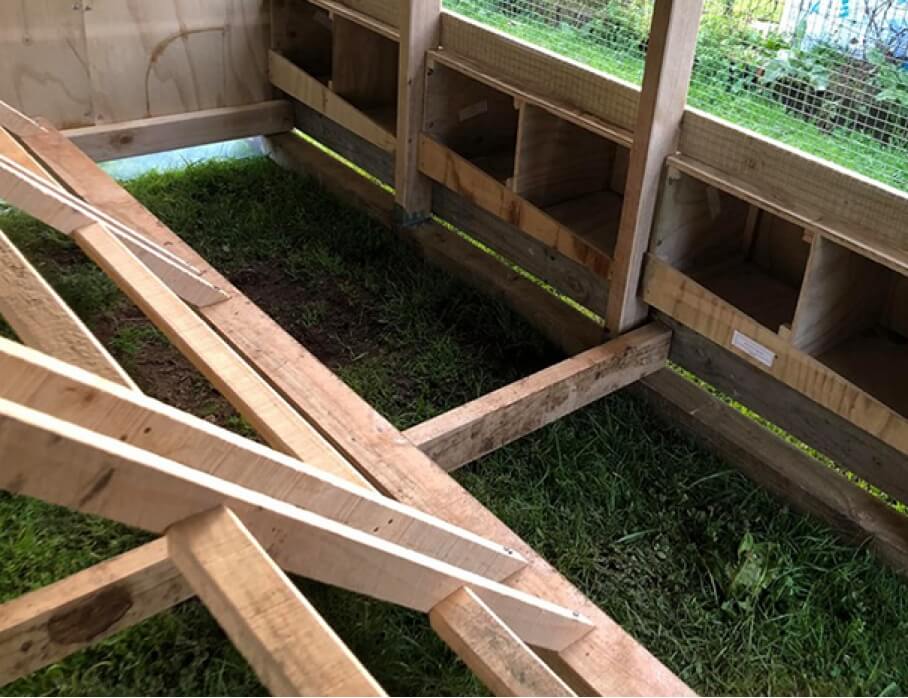 4 Bay Chicken Coop - Image 7