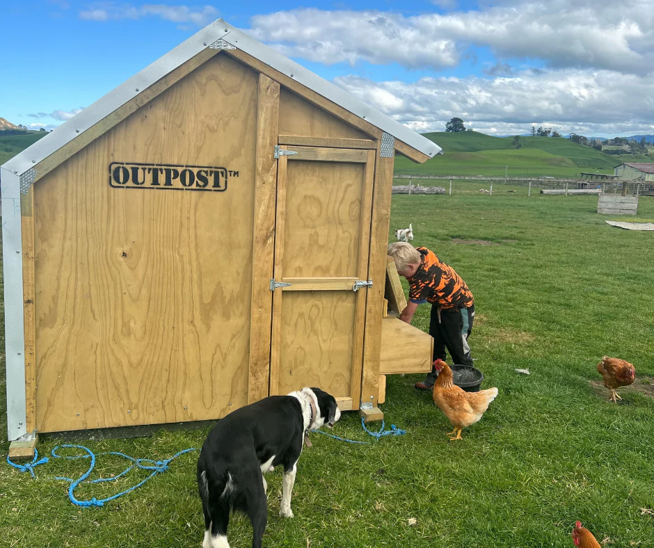 4 Bay Chicken Coop - Image 8