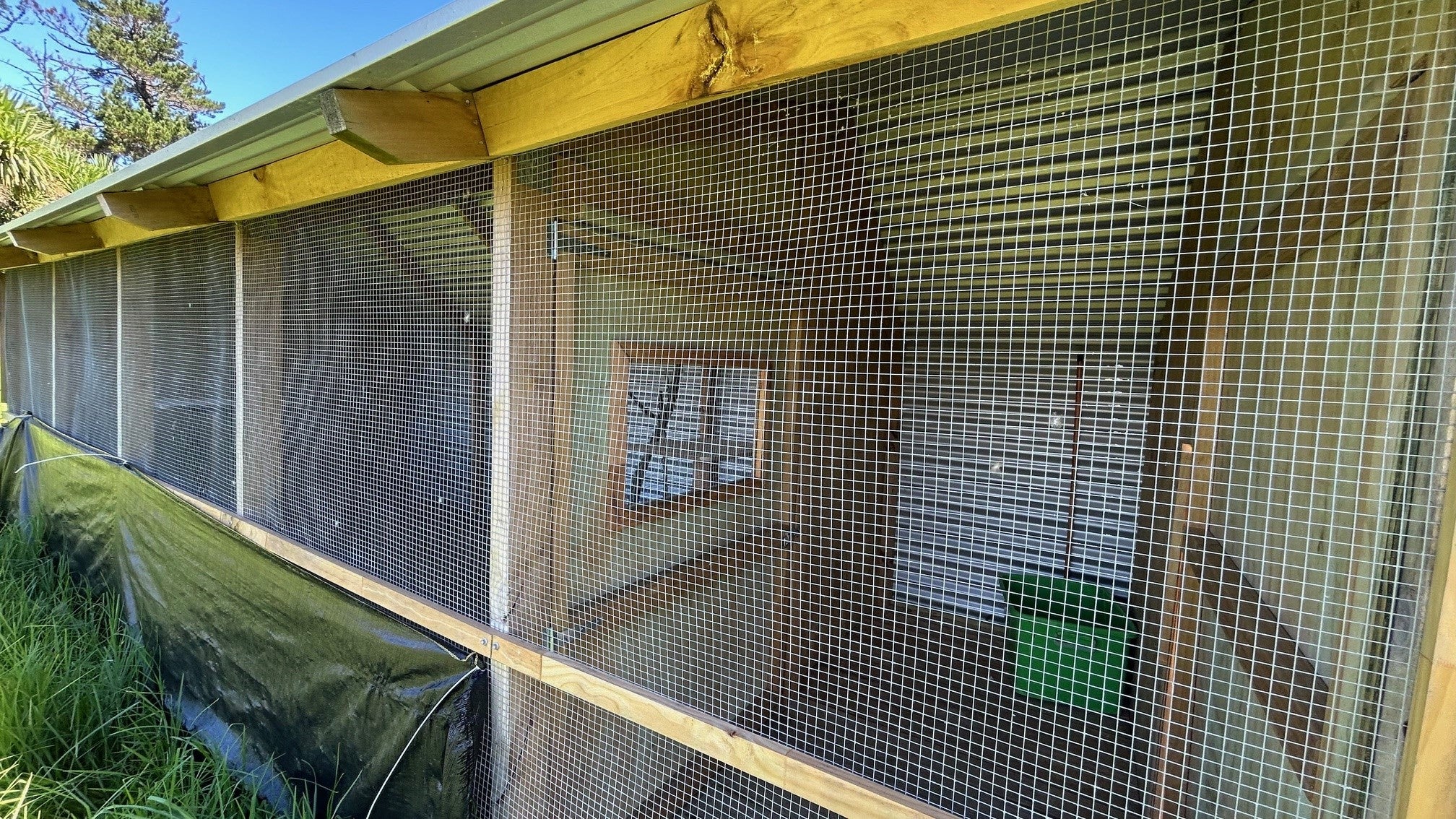 Large Bird Aviary - Image 7