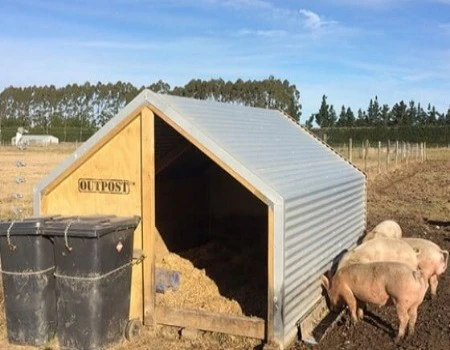 Medium Pig Sty