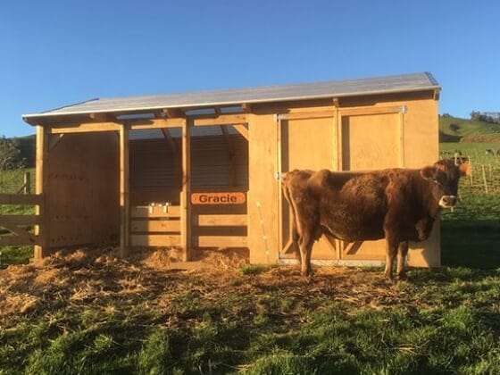 Pony Shelter with double tackroom - Image 5