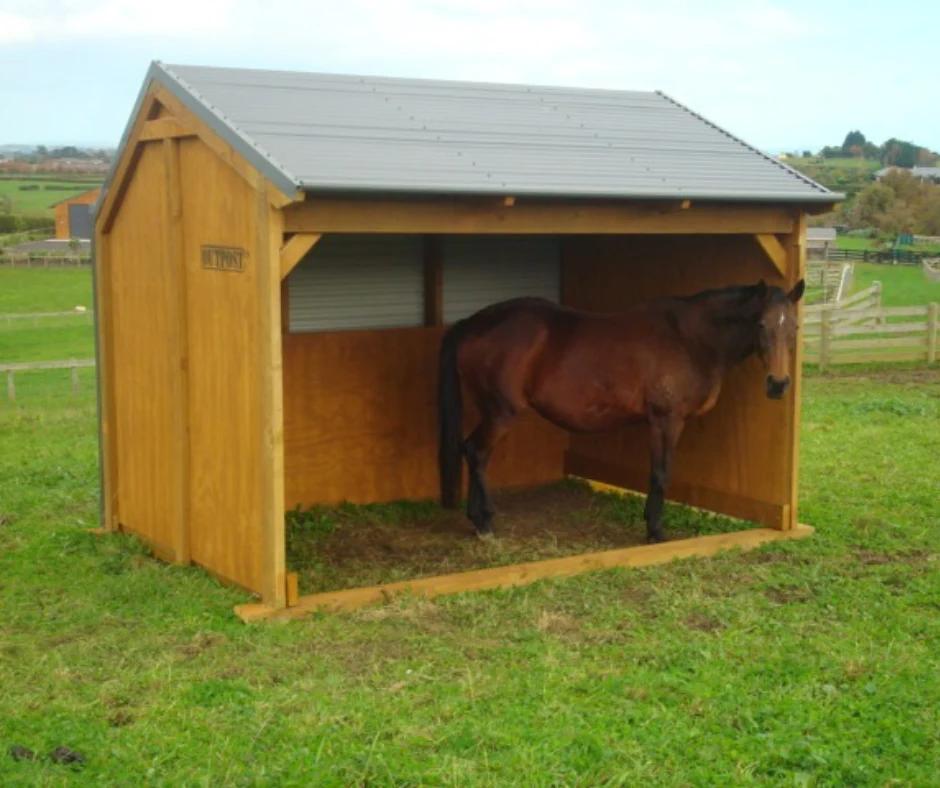 Small Horse Shelter - Image 3