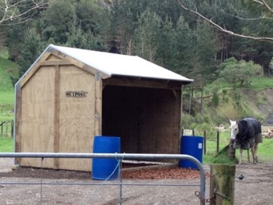 Small Horse Shelter - Image 4