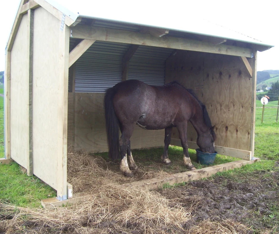 Small Horse Shelter - Image 5