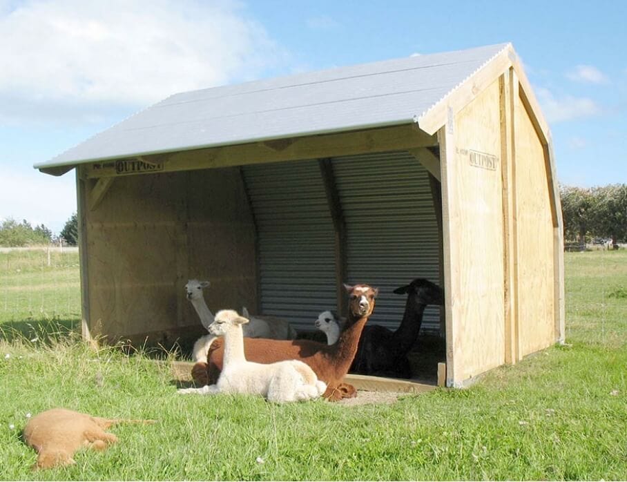 Bobby Calf Pens