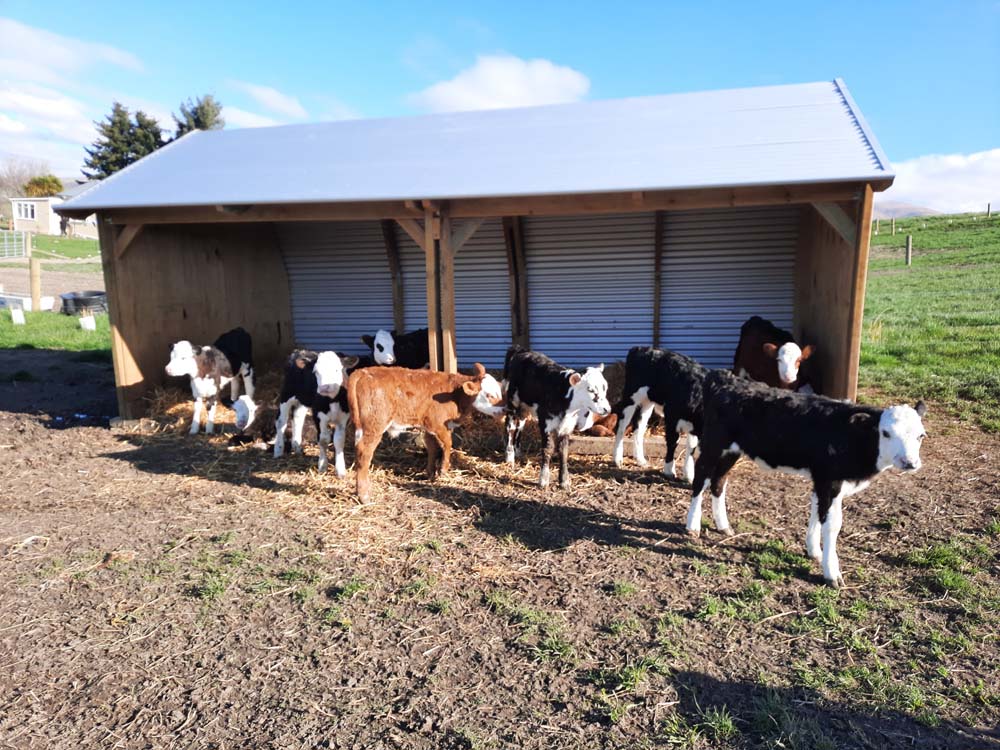 Upland Side Open Shelter 5.8m - Image 3