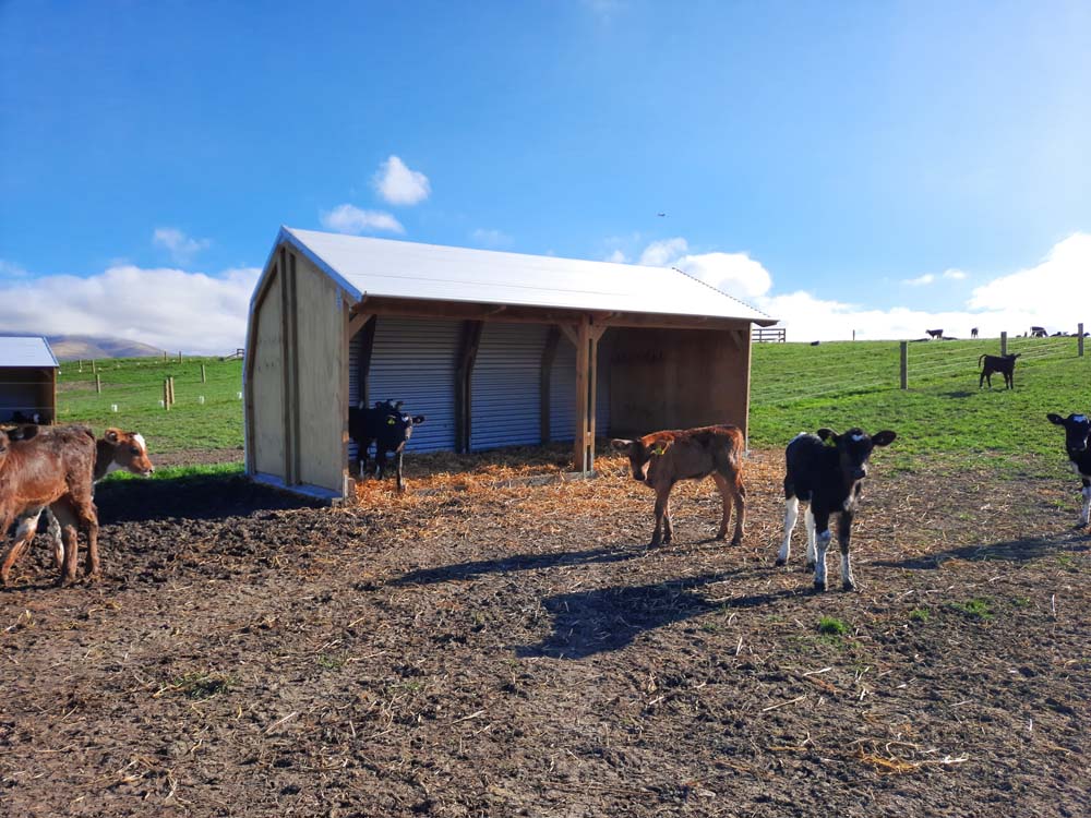Upland Side Open Shelter 5.8m - Image 4